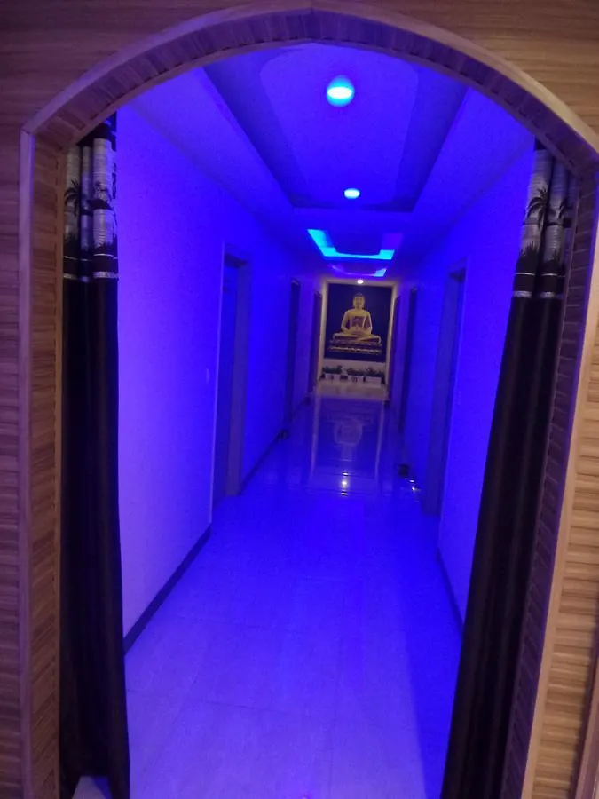***  Airport Hotel Mahal New Delhi India